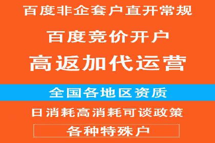 解析百度搜索推广的广告投放策略及效果